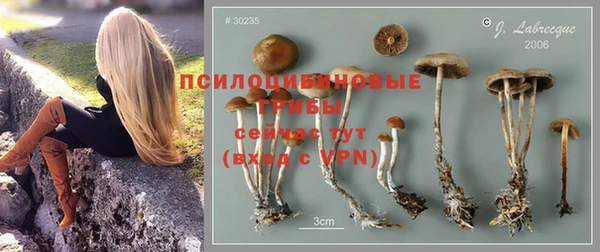 a pvp Зеленодольск