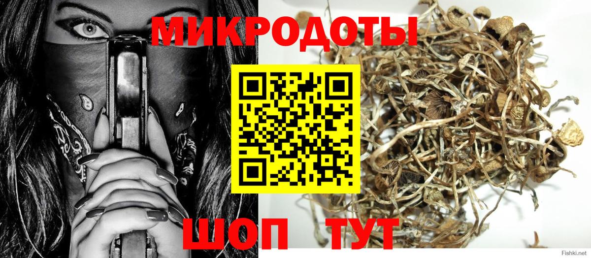 Псилоцибиновые грибы мицелий Ивантеевка
